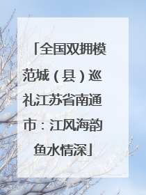 全国双拥模范城（县）巡礼江苏省南通市：江风海韵鱼水情深