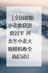 全国夏粮小麦收获进度过半 河北冬小麦大规模机收全面启动