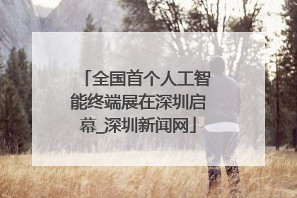 全国首个人工智能终端展在深圳启幕_深圳新闻网