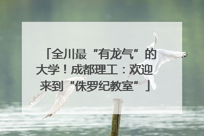 全川最“有龙气”的大学！成都理工：欢迎来到“侏罗纪教室”