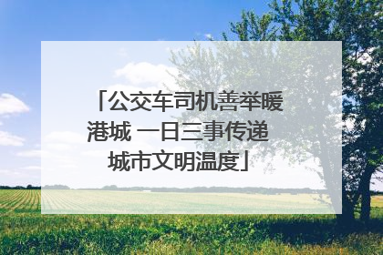 公交车司机善举暖港城 一日三事传递城市文明温度