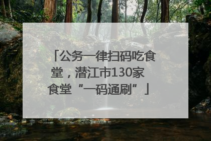 公务一律扫码吃食堂，潜江市130家食堂“一码通刷”