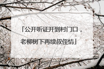 公开听证开到村门口，老柳树下再续叔侄情