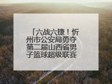 六战六捷！忻州市公安局勇夺第二届山西省男子篮球超级联赛忻州赛区市直职工组比赛冠军