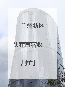 兰州新区头茬苜蓿收割忙