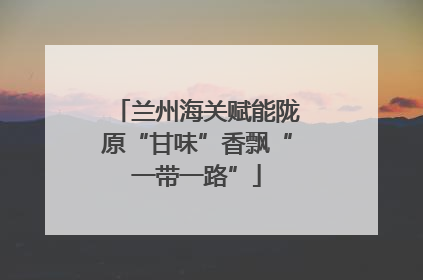 兰州海关赋能陇原“甘味”香飘“一带一路”