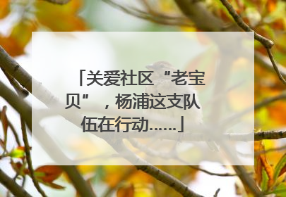 关爱社区“老宝贝”，杨浦这支队伍在行动……