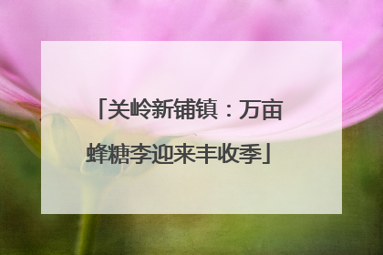 关岭新铺镇：万亩蜂糖李迎来丰收季