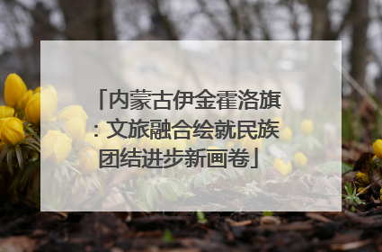 内蒙古伊金霍洛旗：文旅融合绘就民族团结进步新画卷