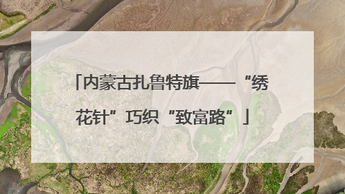内蒙古扎鲁特旗——“绣花针”巧织“致富路”