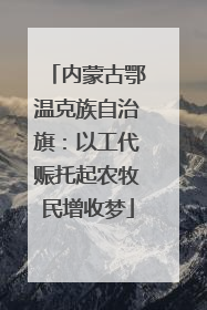 内蒙古鄂温克族自治旗：以工代赈托起农牧民增收梦