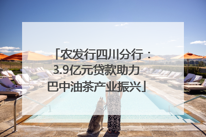 农发行四川分行：3.9亿元贷款助力巴中油茶产业振兴