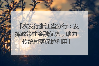 农发行浙江省分行：发挥政策性金融优势，助力传统村落保护利用