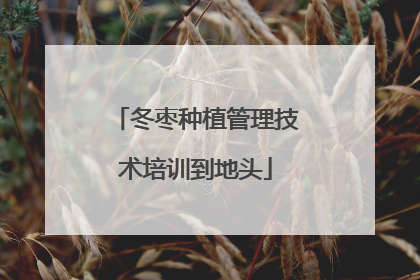 冬枣种植管理技术培训到地头