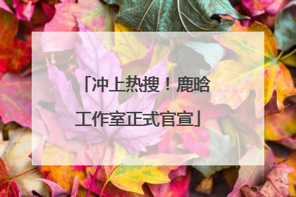冲上热搜！鹿晗工作室正式官宣