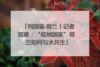 列国鉴·荷兰丨记者观察：“低地国家”荷兰如何与水共生