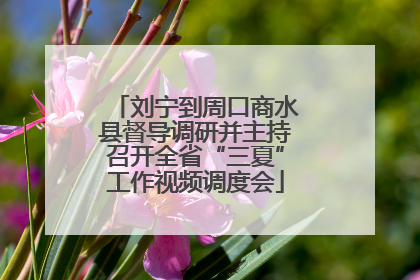 刘宁到周口商水县督导调研并主持召开全省“三夏”工作视频调度会