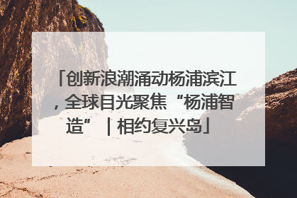 创新浪潮涌动杨浦滨江，全球目光聚焦“杨浦智造”｜相约复兴岛