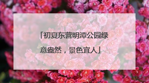 初夏东营明潭公园绿意盎然，景色宜人