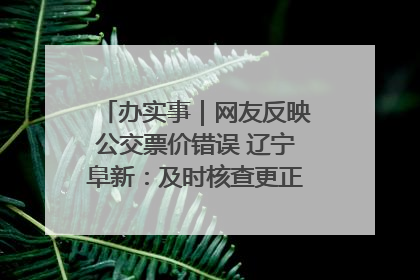 办实事｜网友反映公交票价错误 辽宁阜新：及时核查更正 加强实时巡检