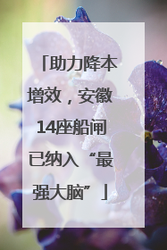 助力降本增效，安徽14座船闸已纳入“最强大脑”