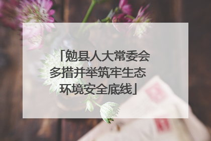 勉县人大常委会多措并举筑牢生态环境安全底线