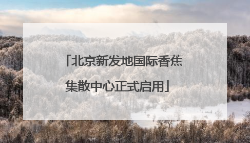 北京新发地国际香蕉集散中心正式启用