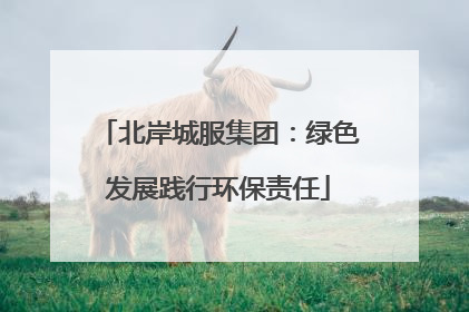 北岸城服集团:绿色发展践行环保责任