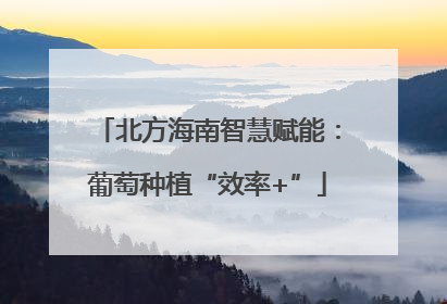 北方海南智慧赋能：葡萄种植“效率+”