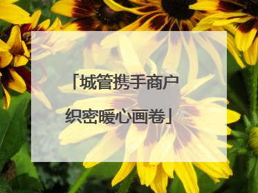 城管携手商户 织密暖心画卷