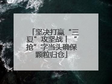 坚决打赢“三夏”攻坚战丨“抢”字当头确保颗粒归仓