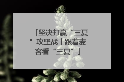 坚决打赢“三夏”攻坚战丨跟着麦客看“三夏”