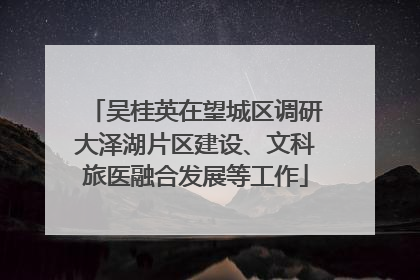 吴桂英在望城区调研大泽湖片区建设、文科旅医融合发展等工作
