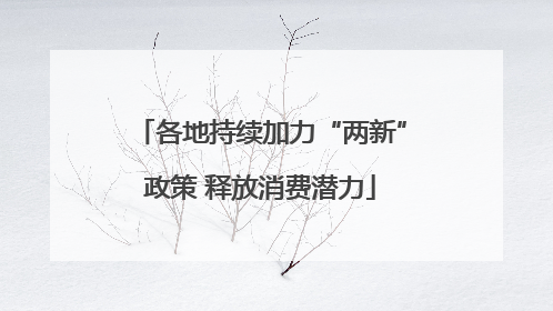各地持续加力“两新”政策 释放消费潜力
