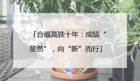 合福高铁十年：成绩“斐然”，向“新”而行