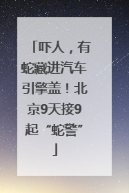 吓人，有蛇藏进汽车引擎盖！北京9天接9起“蛇警”