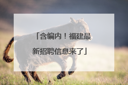 含编内！福建最新招聘信息来了