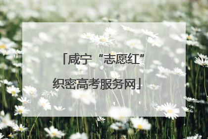 咸宁“志愿红”织密高考服务网