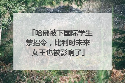哈佛被下国际学生禁招令，比利时未来女王也被影响了