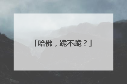 哈佛，跪不跪？