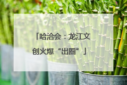 哈洽会：龙江文创火爆“出圈”