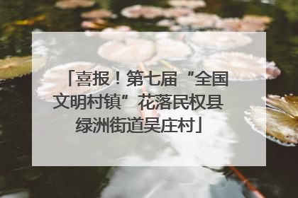 喜报！第七届“全国文明村镇”花落民权县绿洲街道吴庄村