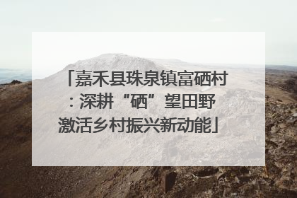 嘉禾县珠泉镇富硒村：深耕“硒”望田野 激活乡村振兴新动能