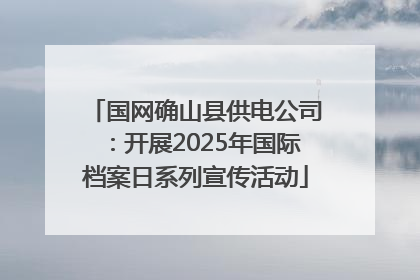 国网确山县供电公司：开展2025年国际档案日系列宣传活动