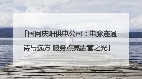 国网庆阳供电公司：电脉连通诗与远方 服务点亮露营之光