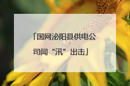 国网泌阳县供电公司闻“汛”出击