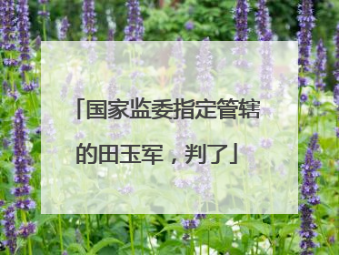 国家监委指定管辖的田玉军，判了