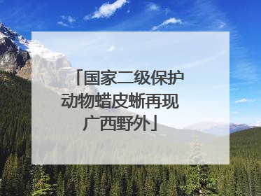国家二级保护动物蜡皮蜥再现广西野外