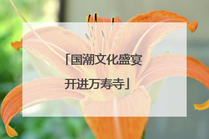 国潮文化盛宴开进万寿寺