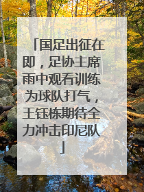 国足出征在即，足协主席雨中观看训练为球队打气，王钰栋期待全力冲击印尼队